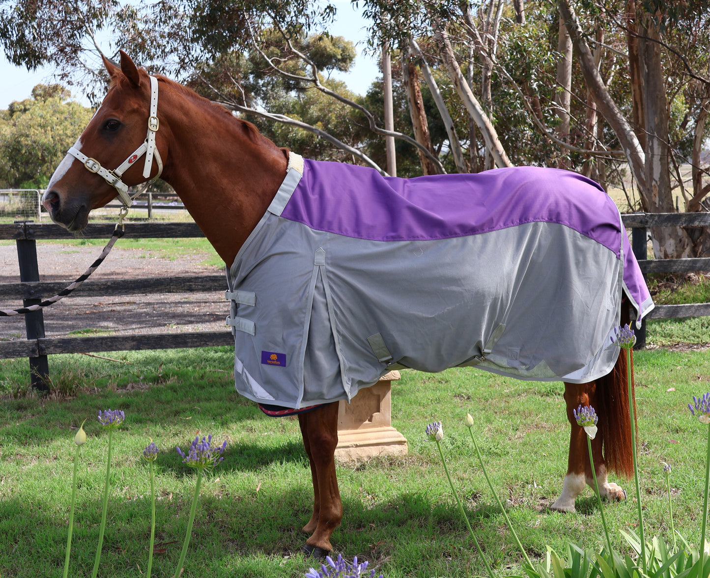Weather Proof Mesh Rug - WPM