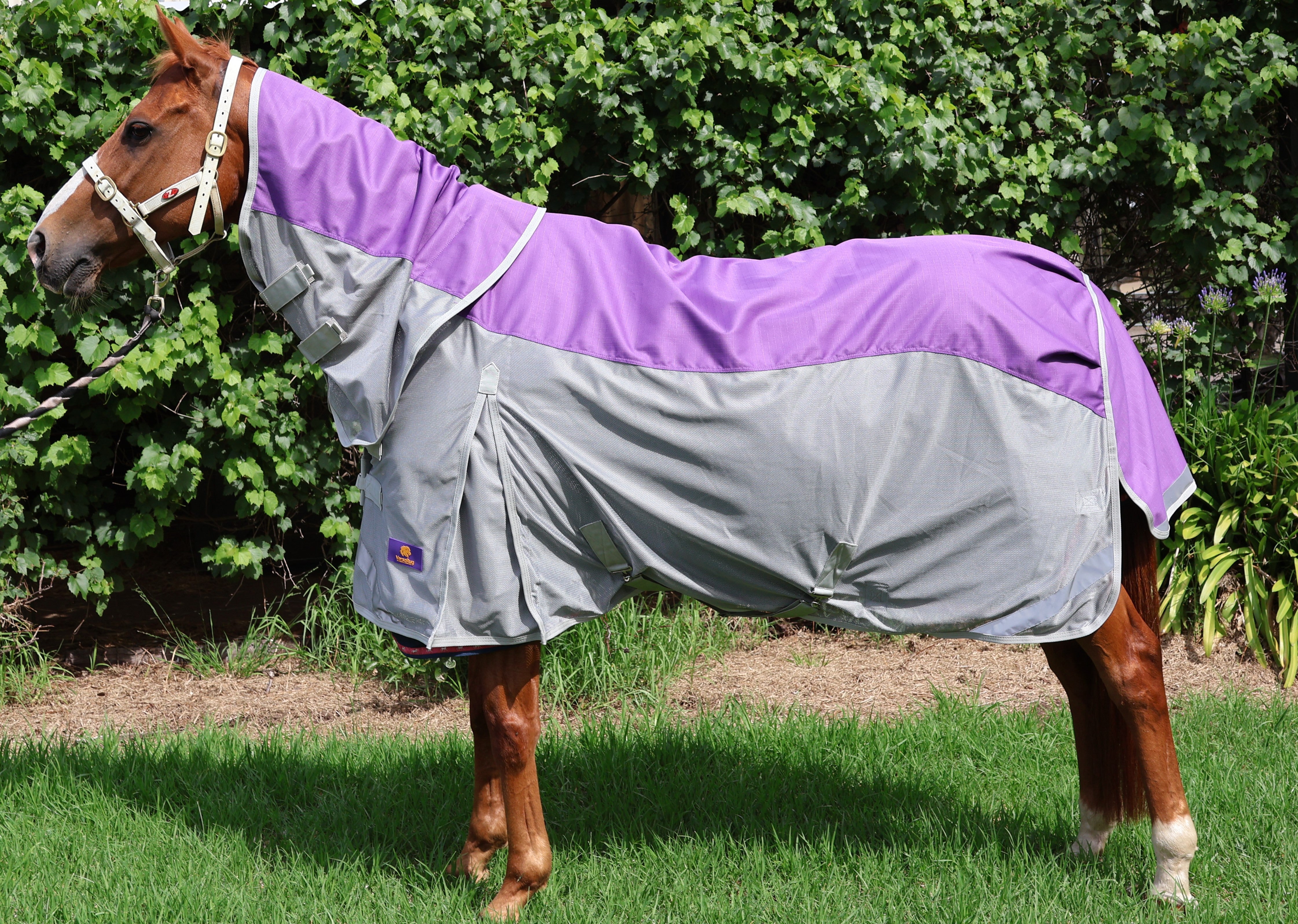 Mesh Crossover Rugs Weather Proof Mesh Rug - WPM – Pandoc Equestrian Supplies